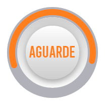 aguarde...